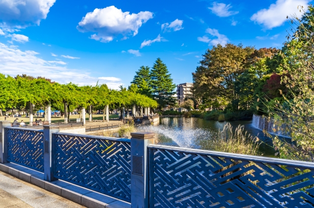 武蔵国分寺公園であい橋からの風景